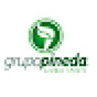 Grupo Pineda