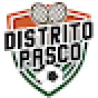 Distrito Pasco (Pasco Tenis)