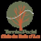 Tennis & Padel Club du Bois d'Ars (Limonest)