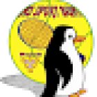 SPORT BUM - Padel Scuola Tennis e Campus estivo