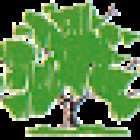 PGS Don Bosco ASD/APS