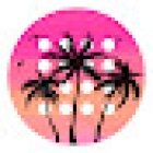 Pádel Palmira Club Deportivo