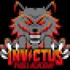 Invictus Padel Academy