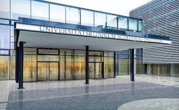 Universitätsklinikum Schleswig-Holstein, Campus Lübeck, Zentrum für Integrative Psychiatrie (ZIP)