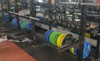 Peak Endurance Performance & Physical Therapy - Madison