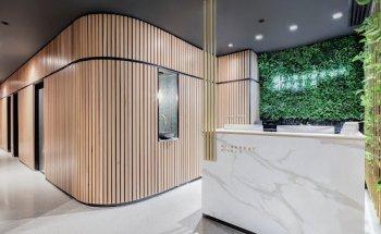 The Alignment Studio