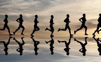 Evolve Physio Group St Kilda Road