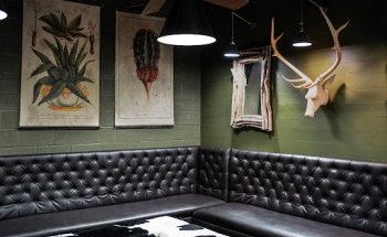 NEO Physical Therapy