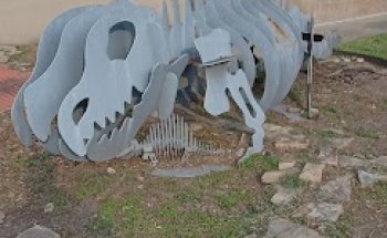 Orthopaedic Center of Mesquite