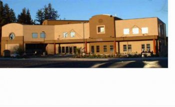 Golden Bear Physical Therapy Rehabilitation & Wellness