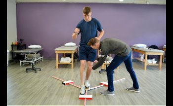 Impact Physical Therapy - Naperville