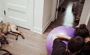 Full Circle Birth & Pelvic Health