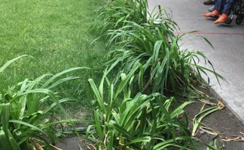 Norwalk Skilled Nurse & Wellness