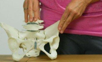 Pelvis Floor Personaltraining