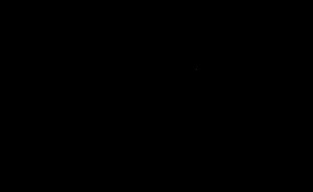 Puer Physical Therapy