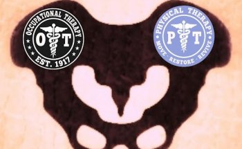 Doctor of Women's Health Physical and Occupational Therapy