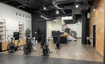 Movement Clinic Physical Therapy