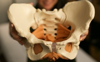 The Pelvic Model Physical Therapy