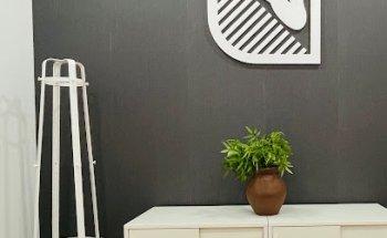 Fisioterapia Reformer