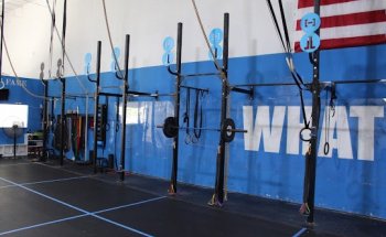 Pure Rehab & Performance