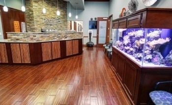 Premier Wellness Centers - Tradition