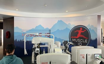 Muscle IQ Physical Therapy