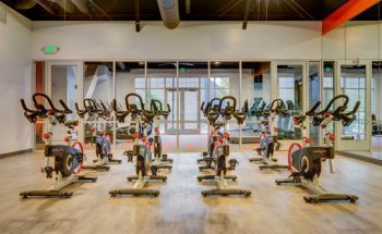 FYZICAL Therapy & Balance Centers - Orem