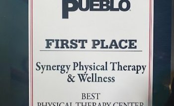 Synergy Physical Therapy and Wellness