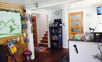 Clínica Veterinaria y Centro de Rehabilitación animal Terra Vet