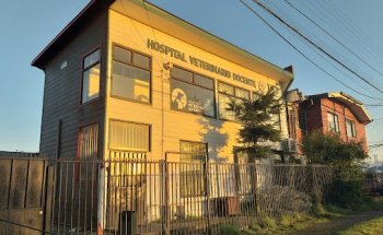 Hospital Clinico Veterinario UST