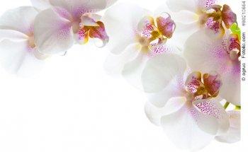 Praxis für Atemtherapie und Physiotherapie Johanna Preißl ÄRZTEHAUS CANDIS II