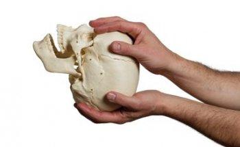 Praxis für Osteopathie und Physiotherapie Markus Horn