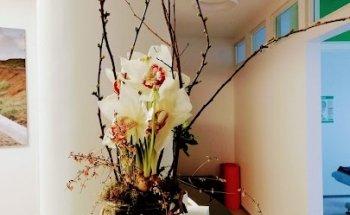 Praxis für ganzheitliche Physiotherapie Hallof