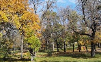 Wascana Rehabilitation Centre