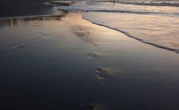 Physiotherapie Sylvia Krebs