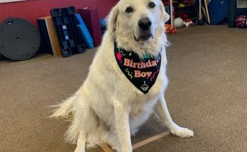 Galena Sport Physical Therapy South