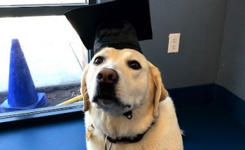 Sierra Ranch Veterinary Clinic & Pet Rehabilitation Center