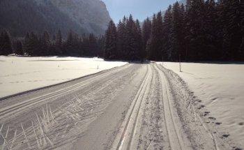 Praxis für Physiotherapie Mark Rietz