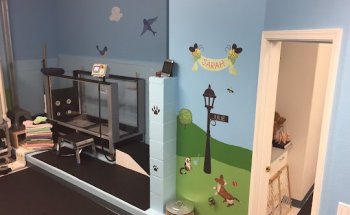 Salem Oregon Animal Rehabilitation - SOAR