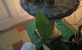 Armonía y bienestar - centro terapéutico