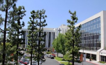 ​Physical, Occupational & Speech Therapy Department - St. Bernardine Medical Center