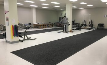 West Coast Sports Institute - Physical Therapy