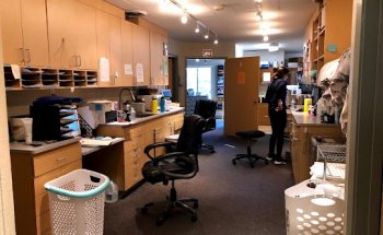 Campbell Physical Therapy and Sports Care