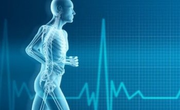 360 Physical Therapy - Scottsdale, Shea & 101