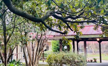 Pierremont Healthcare Center