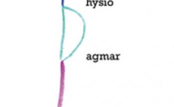 Physio Dagmar Lenkeit - Physiotherapie in Solingen