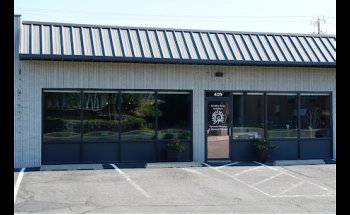 Dynamic Bracing and Physical Therapy