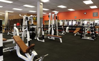 Rehab It Physical Therapy