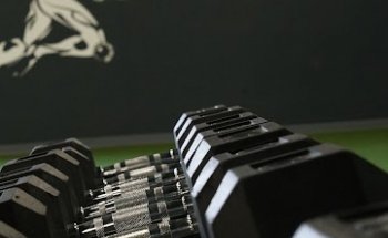 Advanced Therapy and Performance