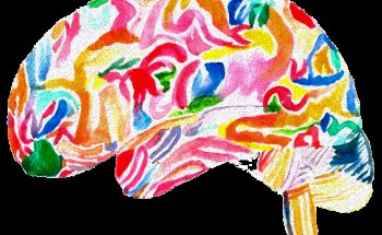 Engage Therapy and Wellness